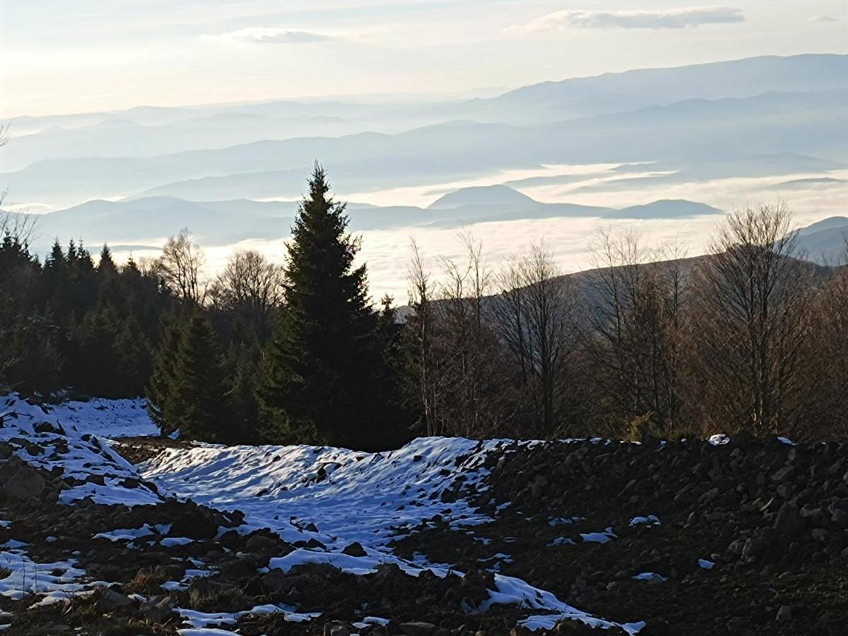 Apartamento Kuca Za Odmor "Djurovic" Kopaonik Exterior foto