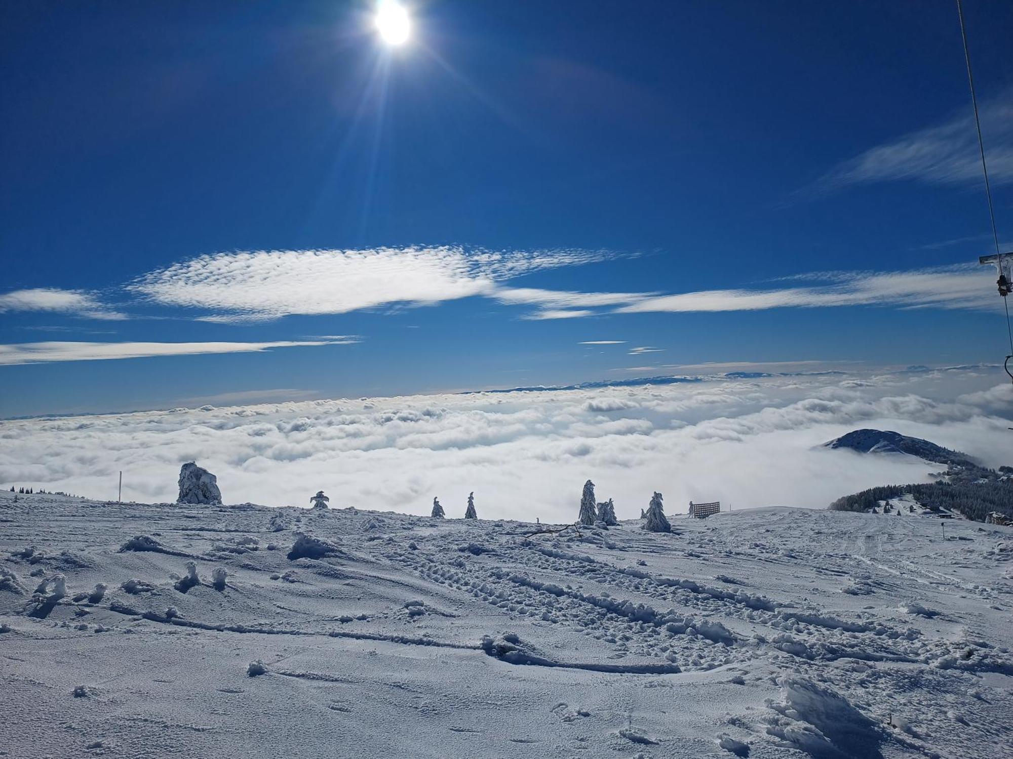 Apartamento Kuca Za Odmor "Djurovic" Kopaonik Habitación foto